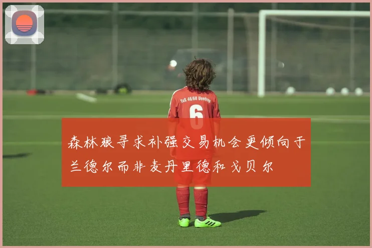 森林狼寻求补强交易机会更倾向于兰德尔而非麦丹里德和戈贝尔