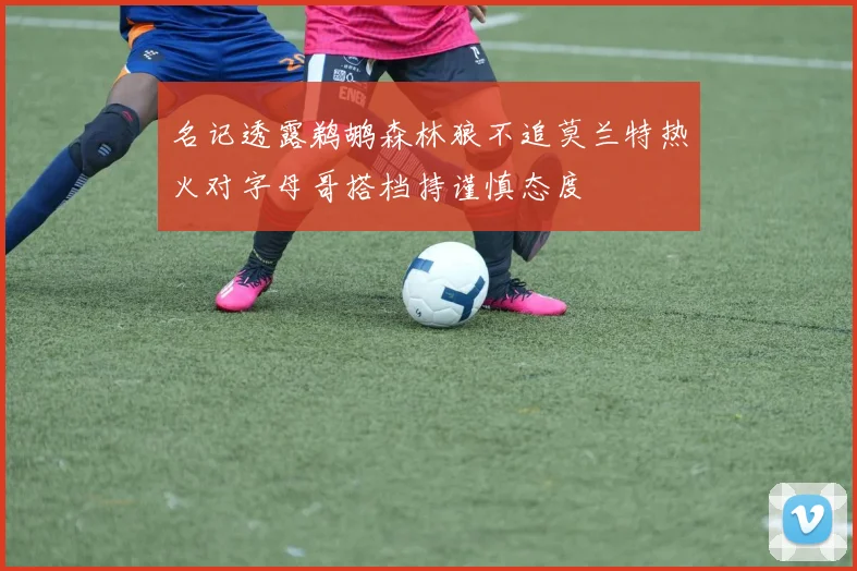 名记透露鹈鹕森林狼不追莫兰特热火对字母哥搭档持谨慎态度