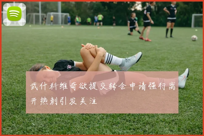 武什科维奇欲提交转会申请强行离开热刺引发关注